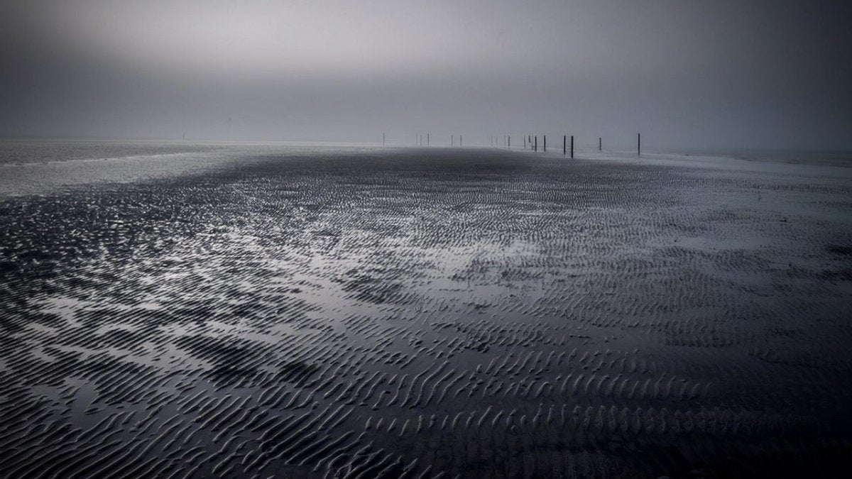 Erneut große Mengen Drogen am Strand von Föhr angespült - Ankerherz Verlag