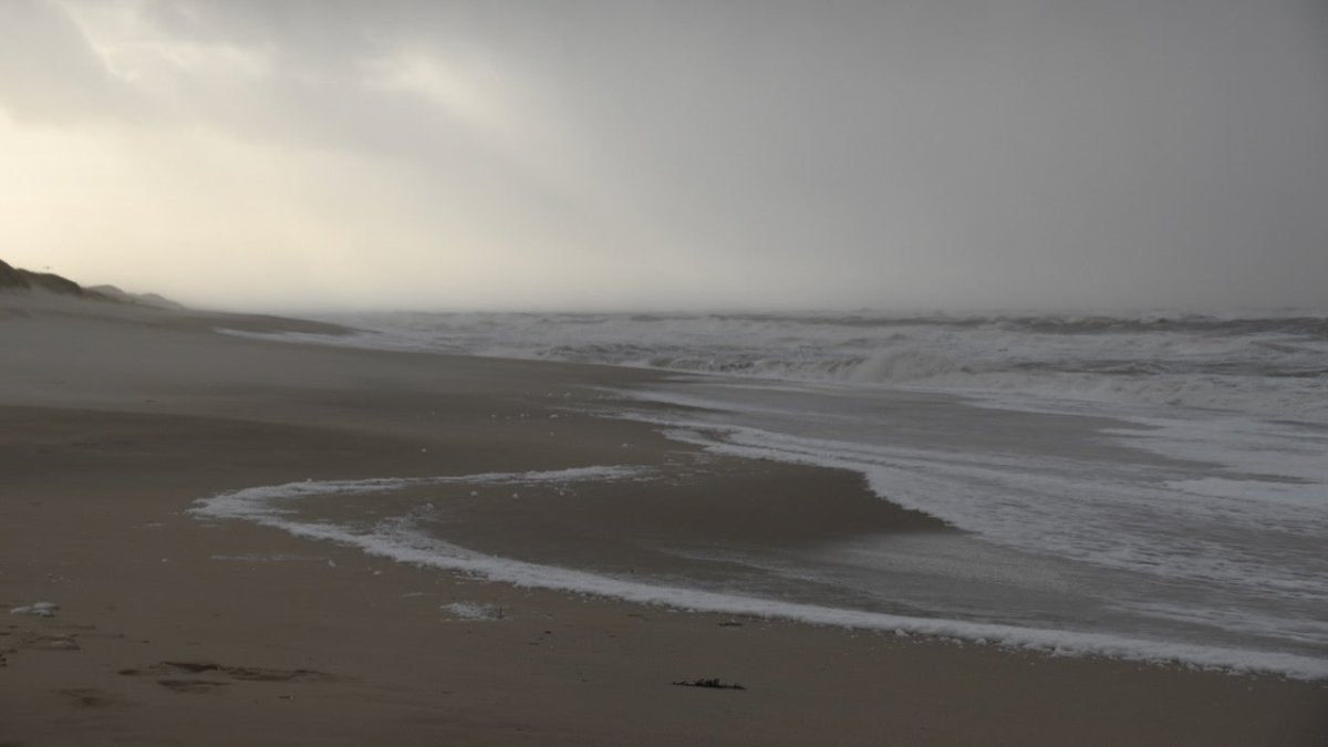 Schon wieder Kokainpaket am Strand von Sylt angespült - Ankerherz Verlag