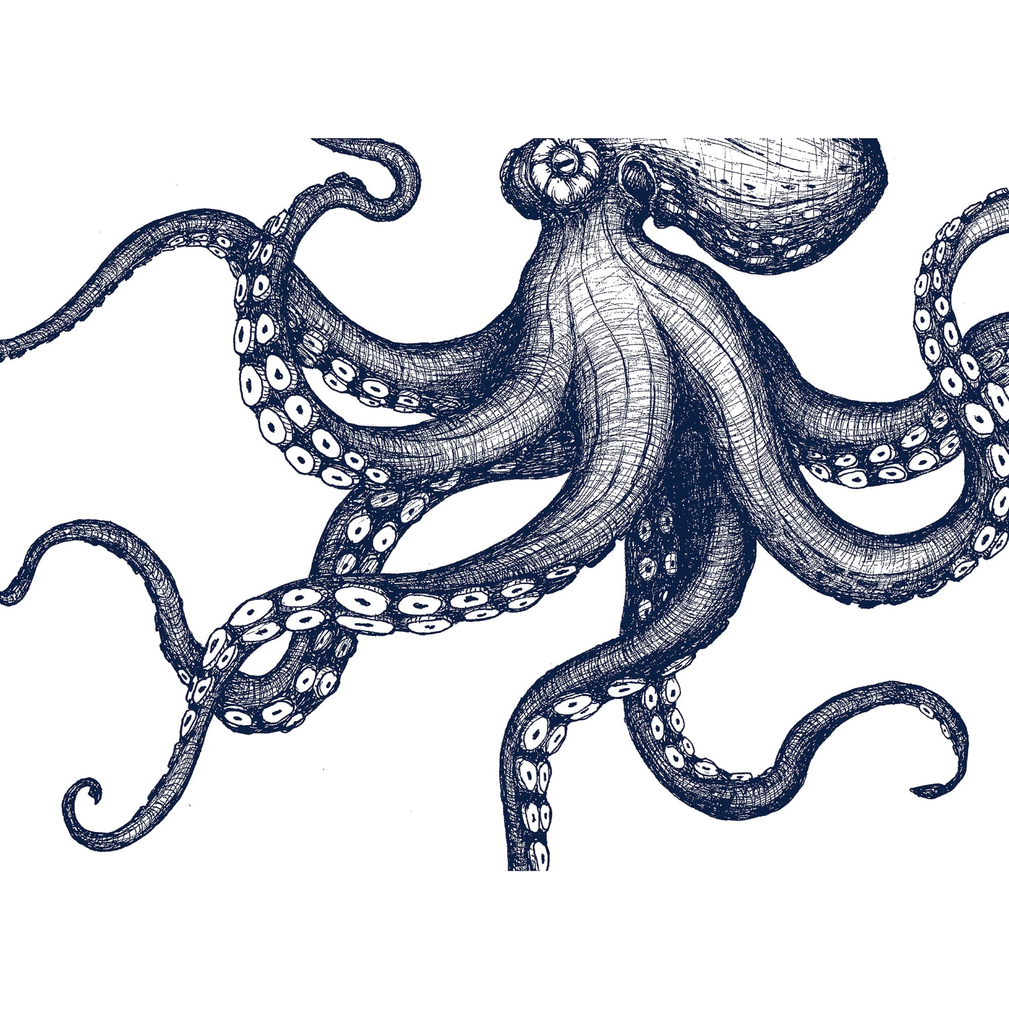 Maritimes Küchenhandtuch mit handbedrucktem Oktopus-Design| ankerherz.de