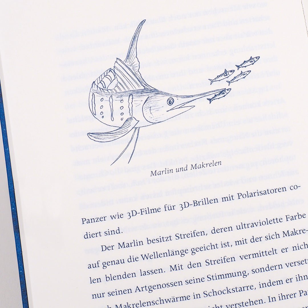 Die Eloquenz der Sardine - Ankerherz Verlag