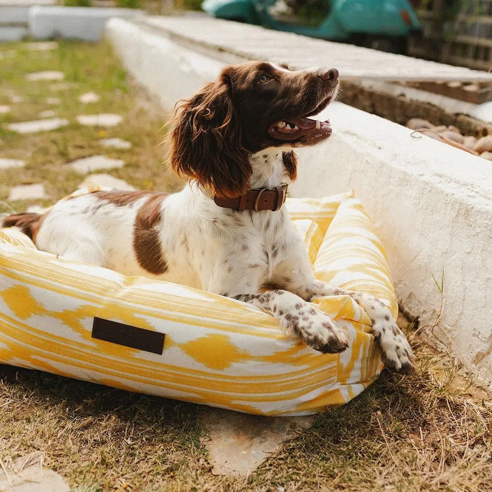 wasserdichtes Hundebett - Ankerherz Verlag