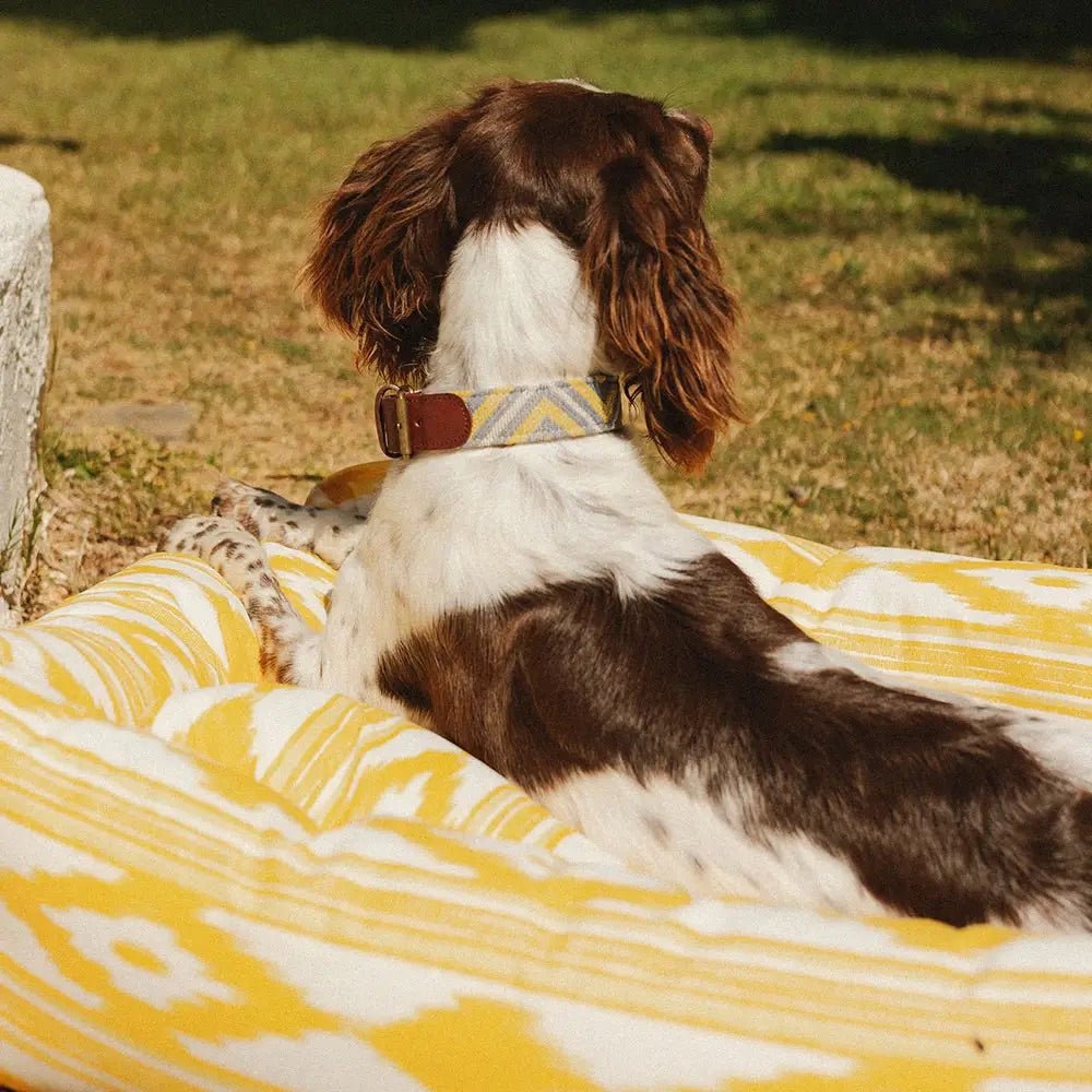 wasserdichtes Hundebett - Ankerherz Verlag